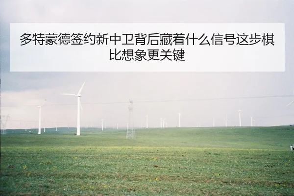 多特蒙德签约新中卫背后藏着什么信号这步棋比想象更关键